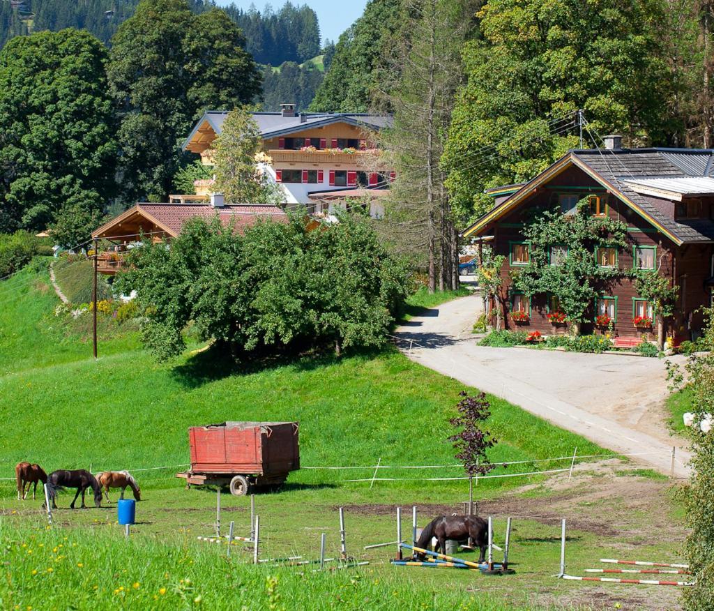 Hotel Zauchtaler Hof Altenmarkt im Pongau Exterior foto